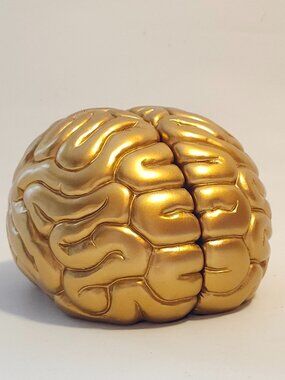 INTRIGUING Brain Bookends, 6.5Inch Tall Brain Decorative Resin Book Shelf Organi